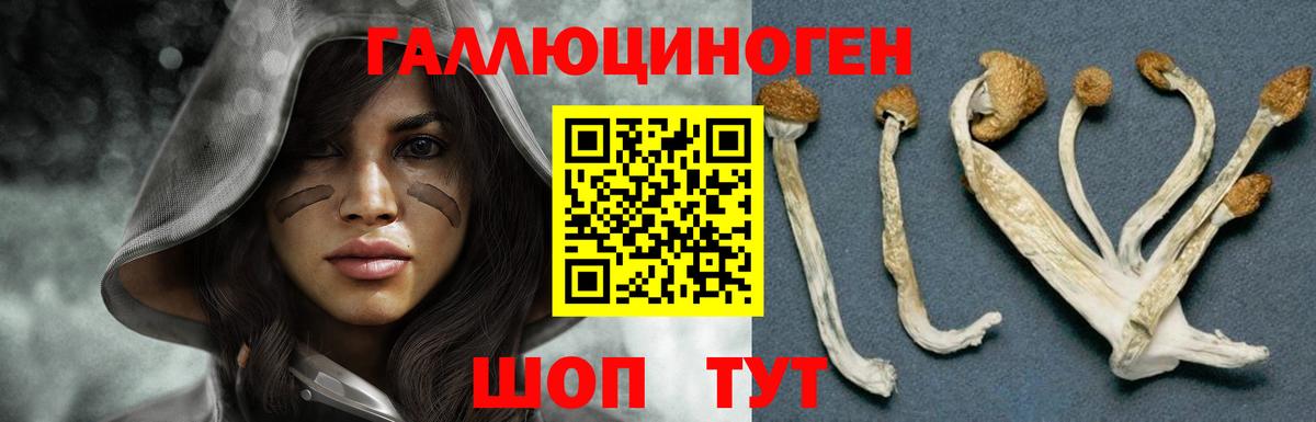 Батайск  Псилоцибиновые грибы GOLDEN TEACHER  Вход с VPN 